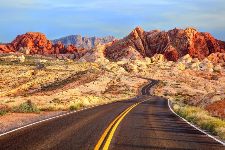 The Ultimate Guide to a Road Trip